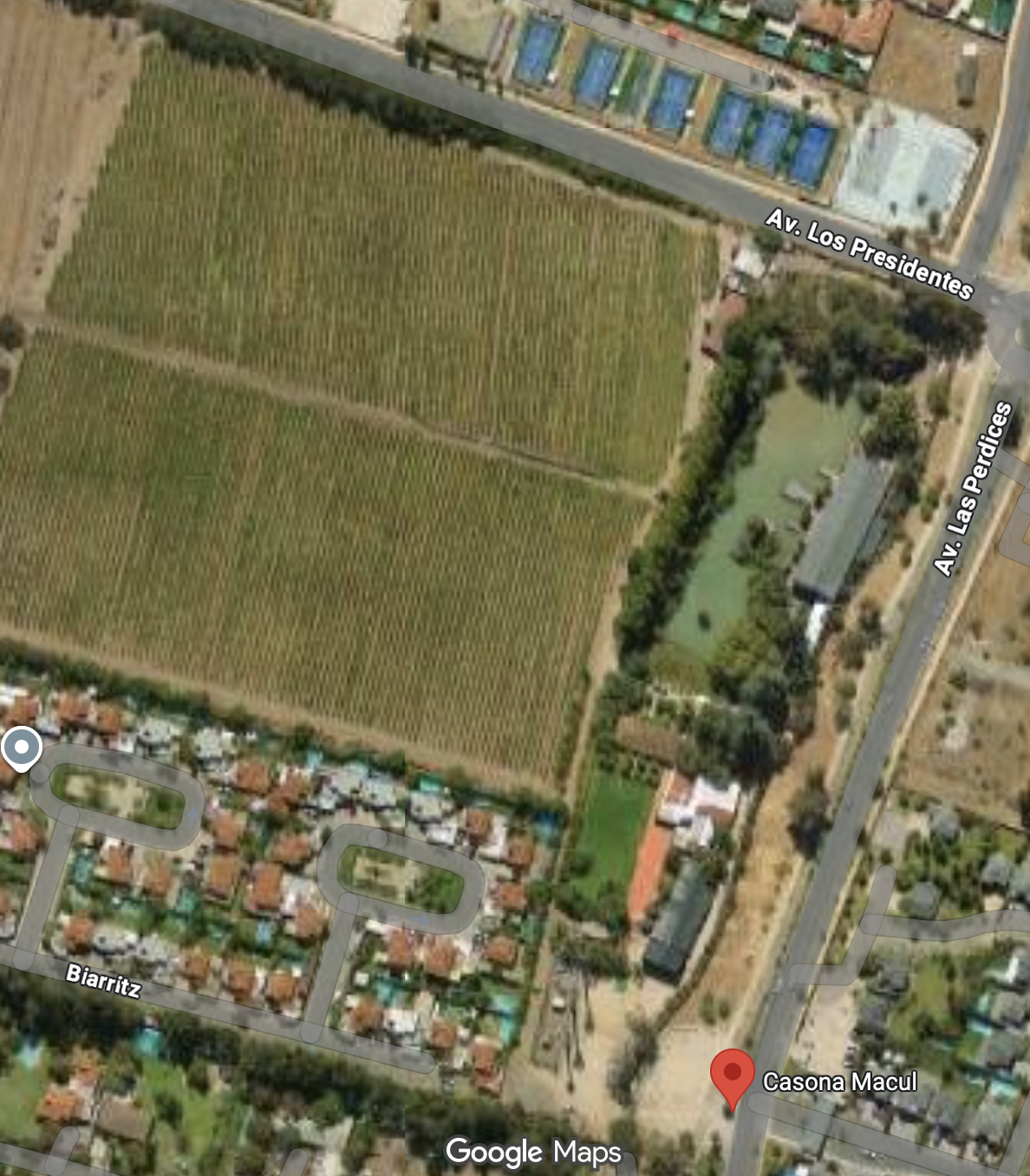 Mapa vintage Casona Macul